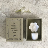 East Of India Ceramic Flowerpot 'If Mothers Were Flowers I'd Pick You' Matchbox Gift